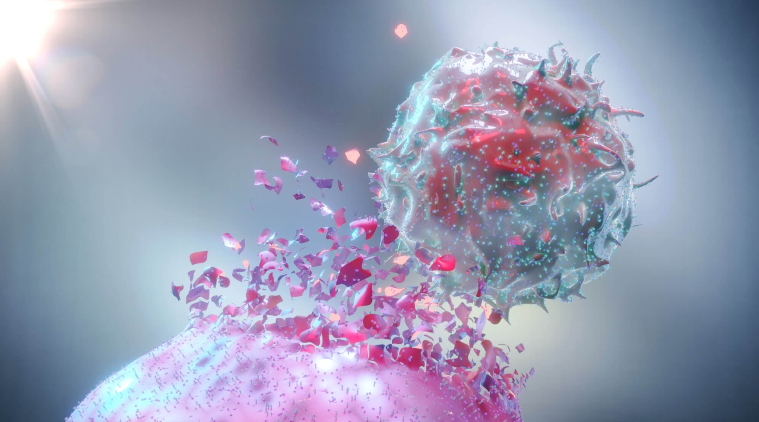 3D Rendering of a Natural Killer Cell (NK Cell) destroying a cancer cell.
