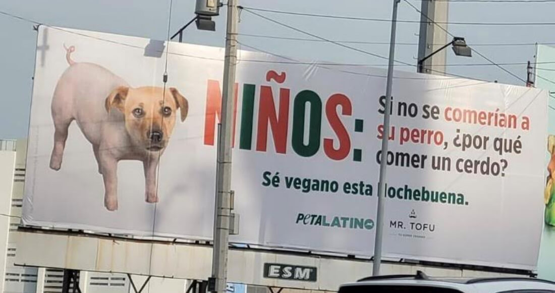 https://investigaciones.petalatino.com/wp-content/uploads/2022/09/PL-Billboard-Pig-Dog-Christmas-Mexico-JR-VS-PO.jpeg