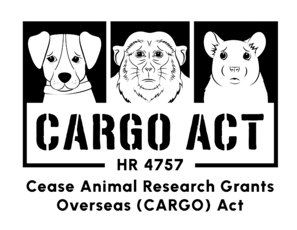 Cargo Act transparent logo