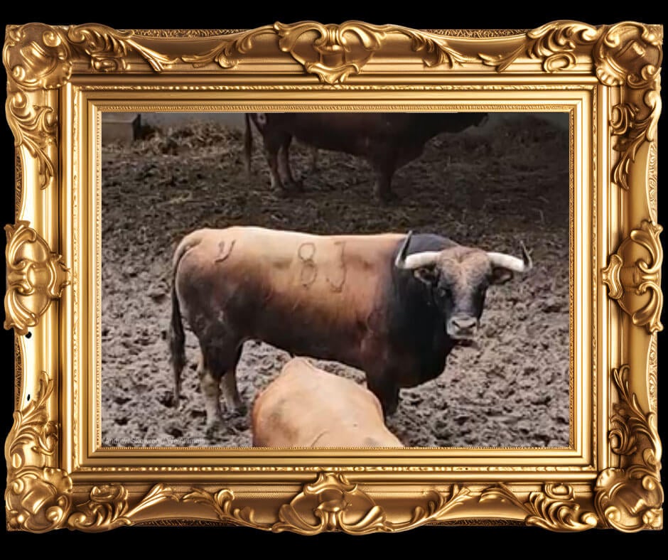 Photo of Gallardio in a guilded frame