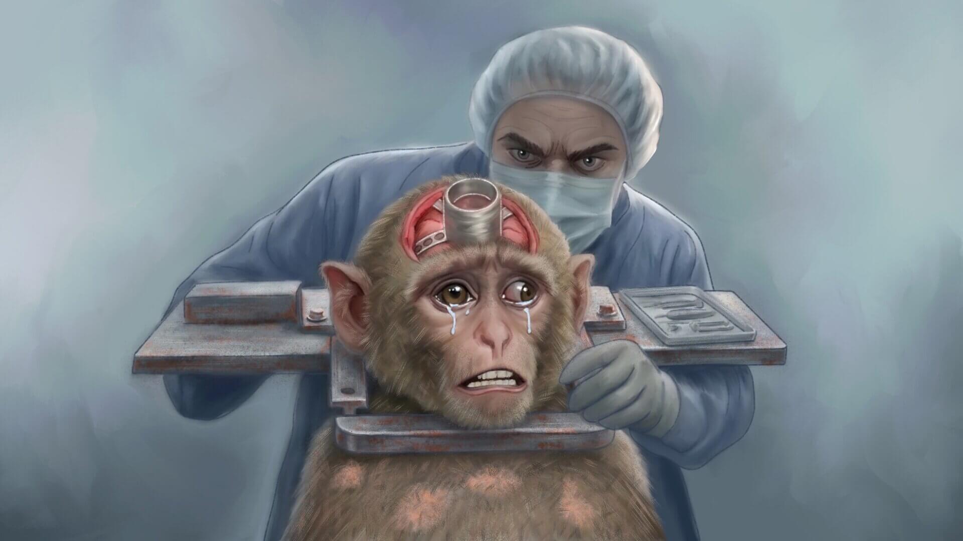 Horror en experimentos con animales: le implantaron 20 tornillos en el cráneo a un mono