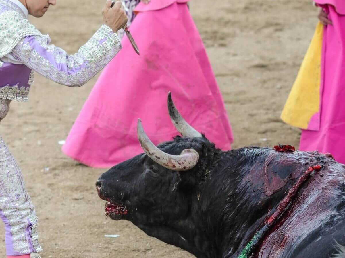 La tauromaquia contradice el mensaje de Cristo, pero estos sacerdotes la defienden
