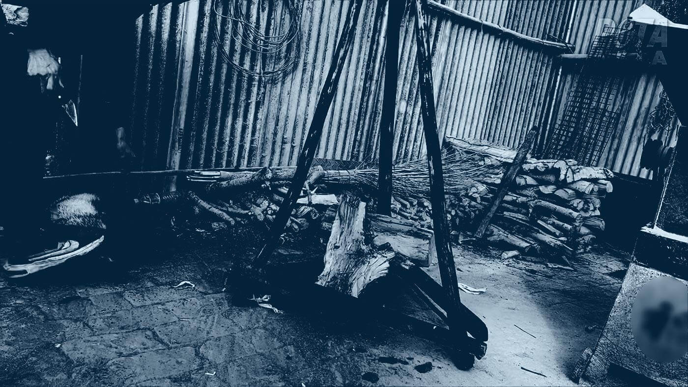 Duotone photo of a worker crouched over a badger on the ground, holding a knife while restraining the animal with their foot.