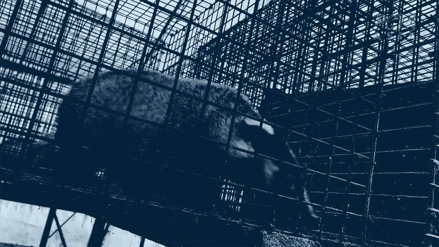 Duotone photo of a badger in a rusty, filthy cage