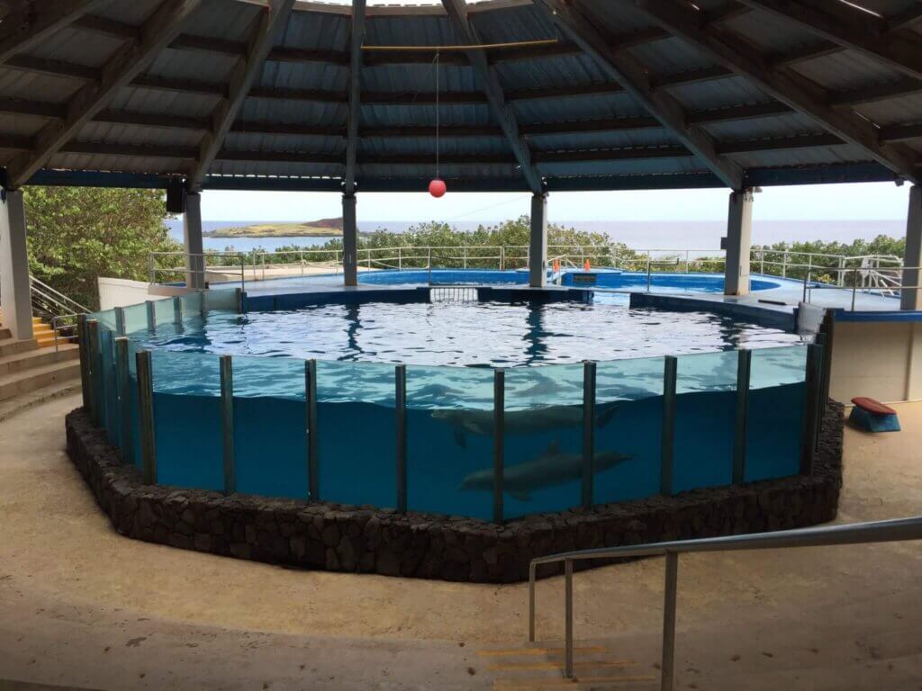 Small octagonal tank with dolphins in it with the ocean in the distance