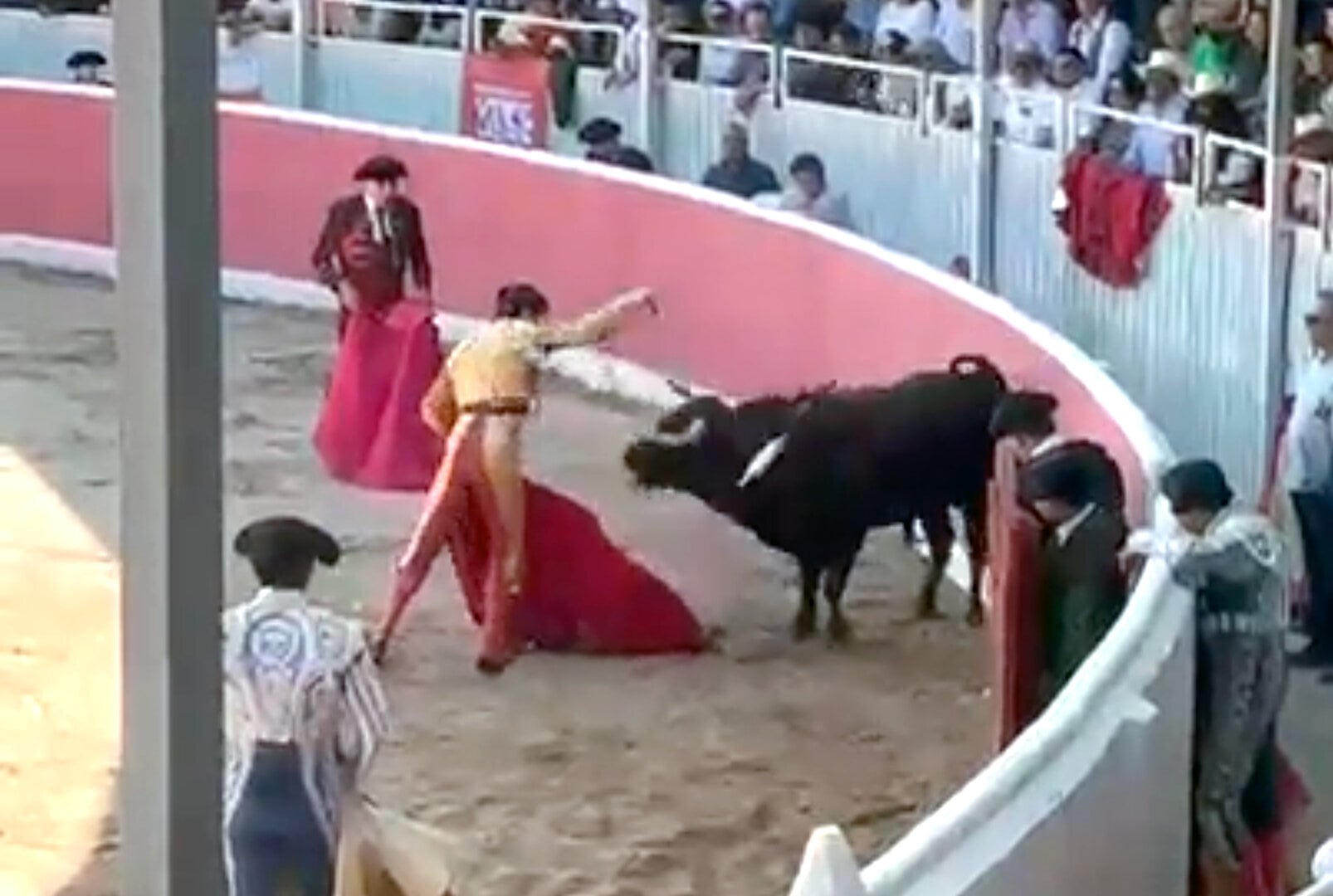 La tauromaquia es ilegal en México. Es hora de hacer cumplir la ley