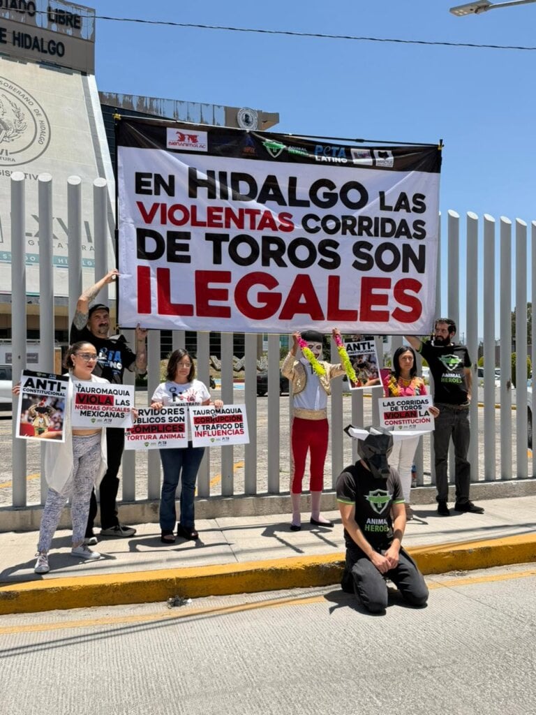 Hidalgo Protest